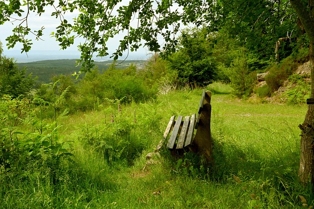 这也反映出 这也反映出