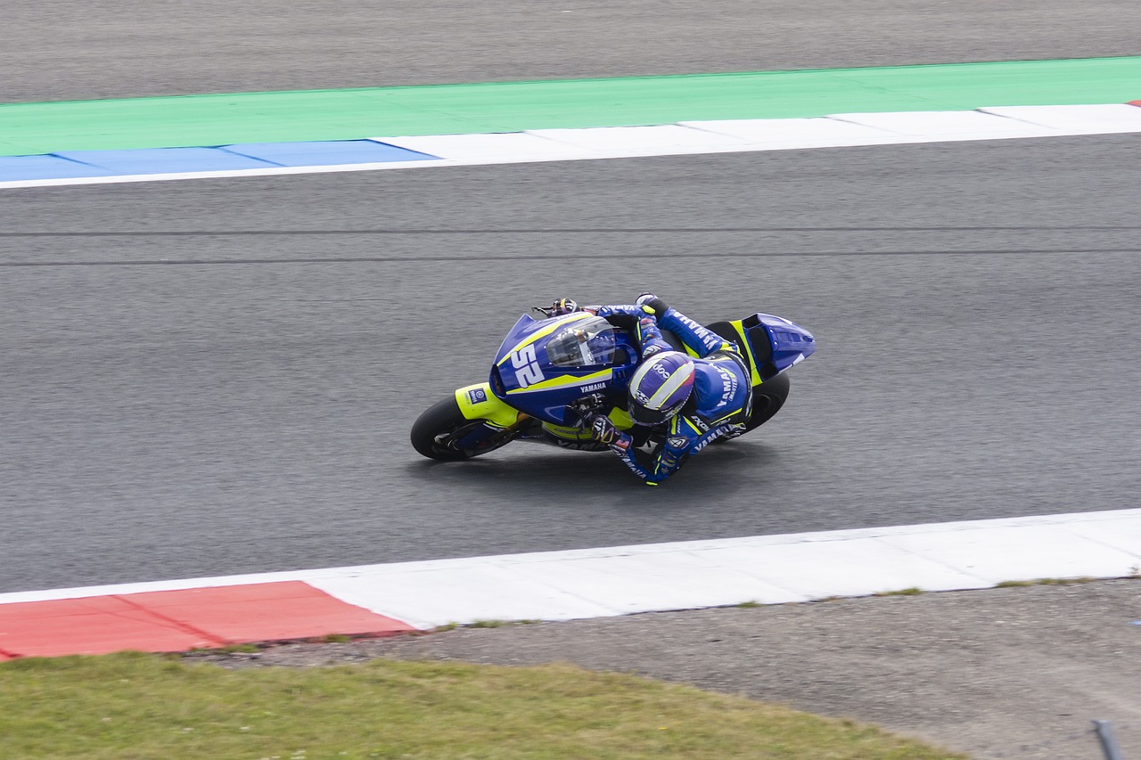 成为无法预 成为无法预