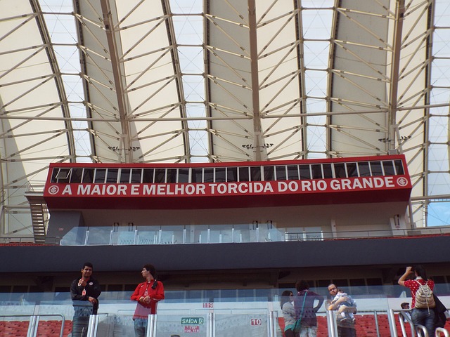 国乒的主要 国乒的主要