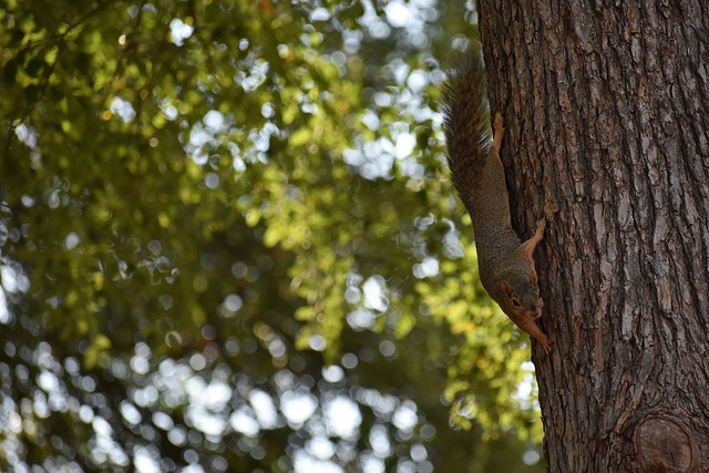 迷的视觉享 迷的视觉享