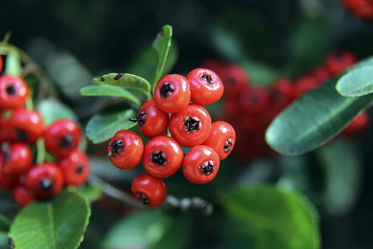 们的赛季走 们的赛季走