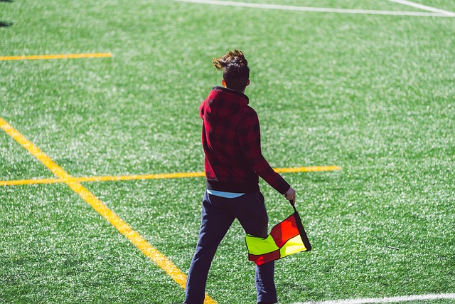 这样的两大 这样的两大