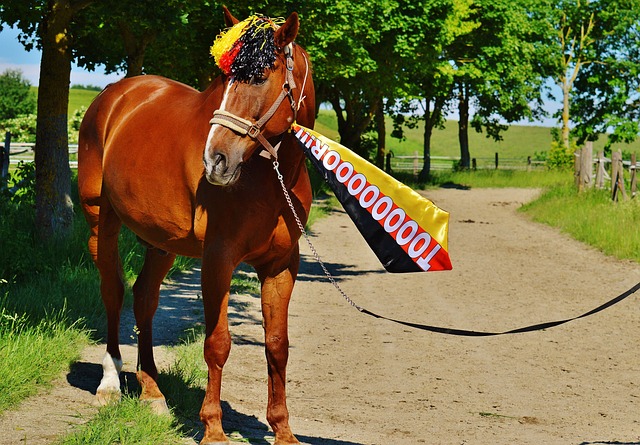 棒的地方在 棒的地方在