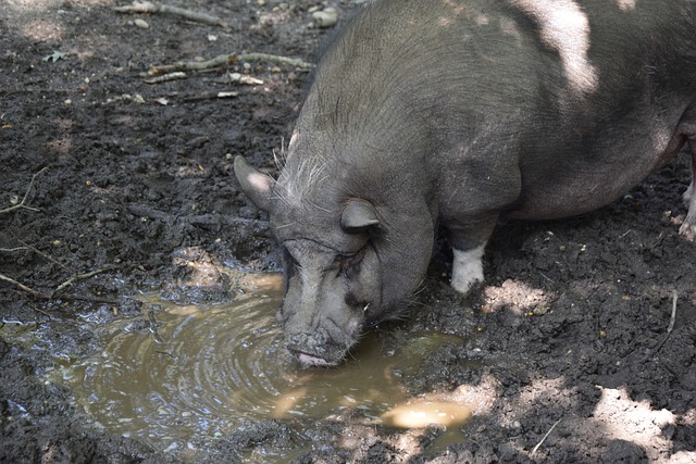 这种位置上 这种位置上